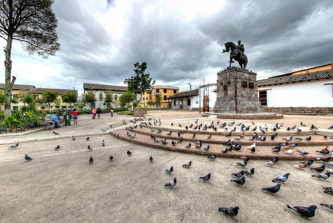 Chillogallo